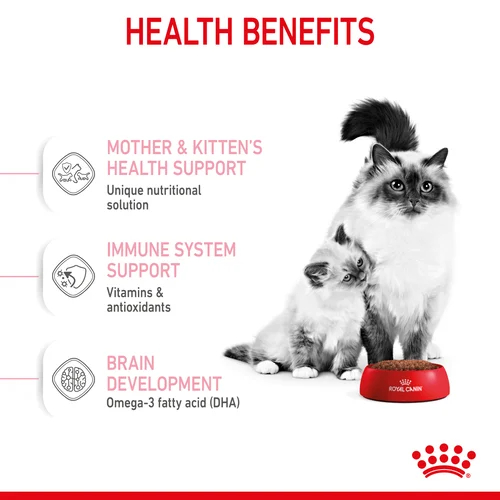 ZIP - Hạt Mèo con Mother & Babycat Royal Canin Mèo mẹ Mèo con dưới 12th tuổi thức ăn hạt cho Mèo nhập Pháp