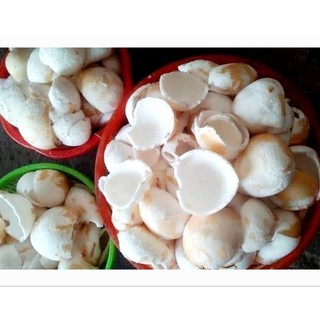 Hỏa tốc - mua 3 tặng 1 - 1kg dừa non