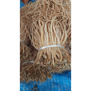 Ngưu tất nam 500g - 1kg