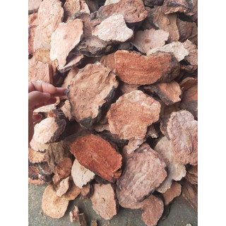 Hà thủ ô đỏ khô 500g - 1kg