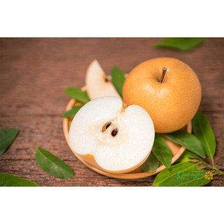 CÂY GIỐNG LÊ NÂU (MẮC CỌP)