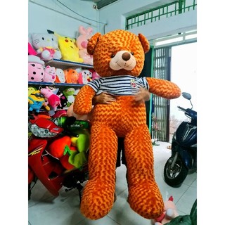 [HCM hỏa tốc 2h]Gấu bông teddy khổ 2m ( nhiều màu)