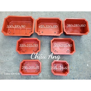  Combo 3 cái 5 cái 10 cái Chậu nhựa trồng bonsai cây cảnh chậu Ang 250x190 - chậu Ang Bình Thuận 