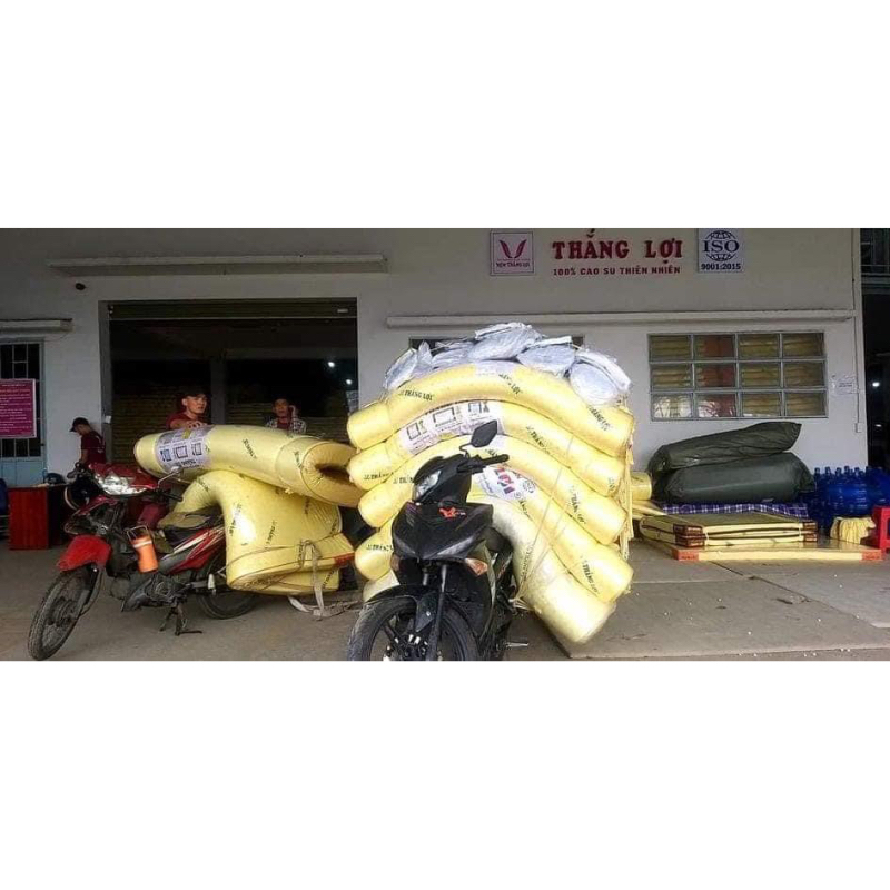 Nệm cao su non thắng lợi hàng chính hãng