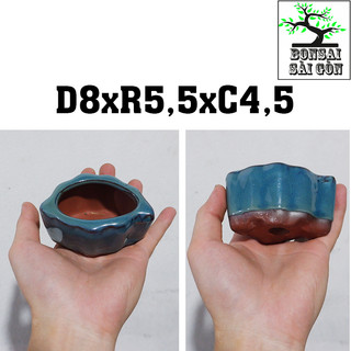 chậu bonsai Men Hỏa Biến mini