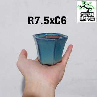 chậu bonsai Men Hỏa Biến mini