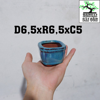 chậu bonsai Men Hỏa Biến mini