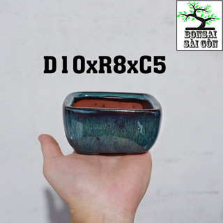 chậu bonsai Men Hỏa Biến mini