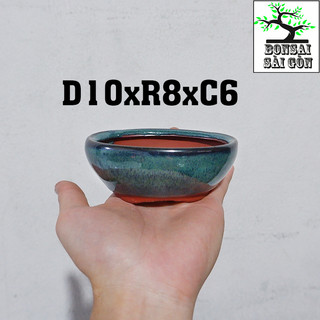 chậu bonsai Men Hỏa Biến mini