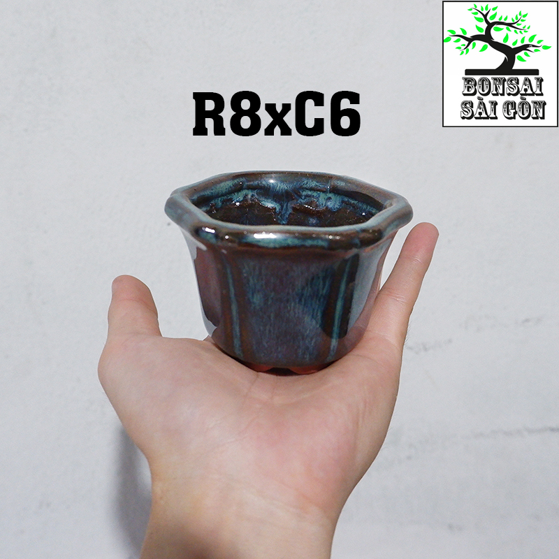 Chậu bonsai Men Hỏa Biến mini