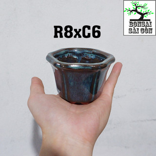 chậu bonsai Men Hỏa Biến mini