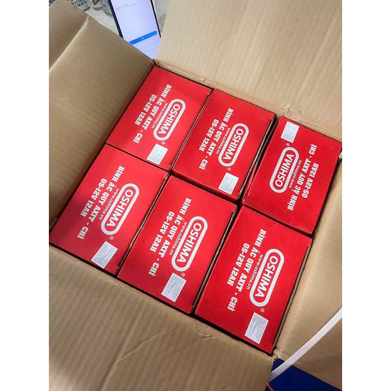 Ắc quy Oshima 12V 12Ah/ 8Ah cho xe đạp điện bình xịt điện loa kéo