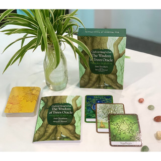 Sách - Cách sử dụng bộ bài The Wisdom of Trees Oracle - 40 lá bài kèm sách hướng dẫn