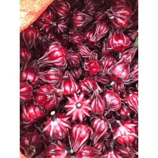 500g hoa atiso đỏ 165k