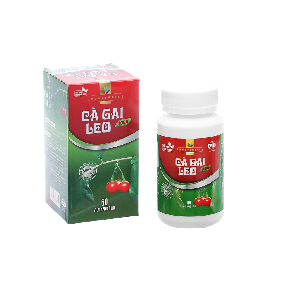 Cà Gai Leo 1000 hỗ trợ thanh nhiệt giải độc, mát gan Hộp 60 viên