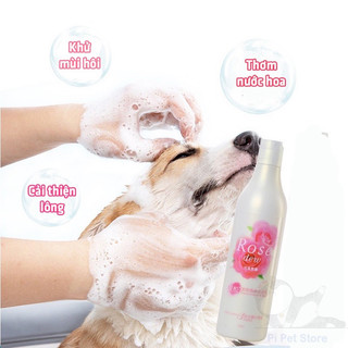 Sữa tắm hương hoa tự nhiên J&d Bloom sexy, jasmine, rose, violet, greentea cho chó mèo