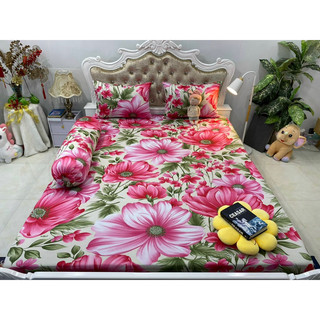 Bộ drap thun hàn quốc 4 món mát mịn