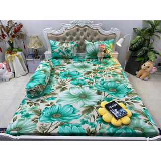Bộ drap thun hàn quốc 4 món mát mịn