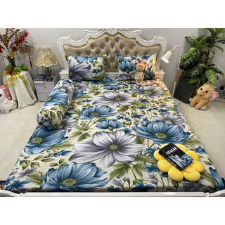 Bộ drap thun hàn quốc 4 món mát mịn