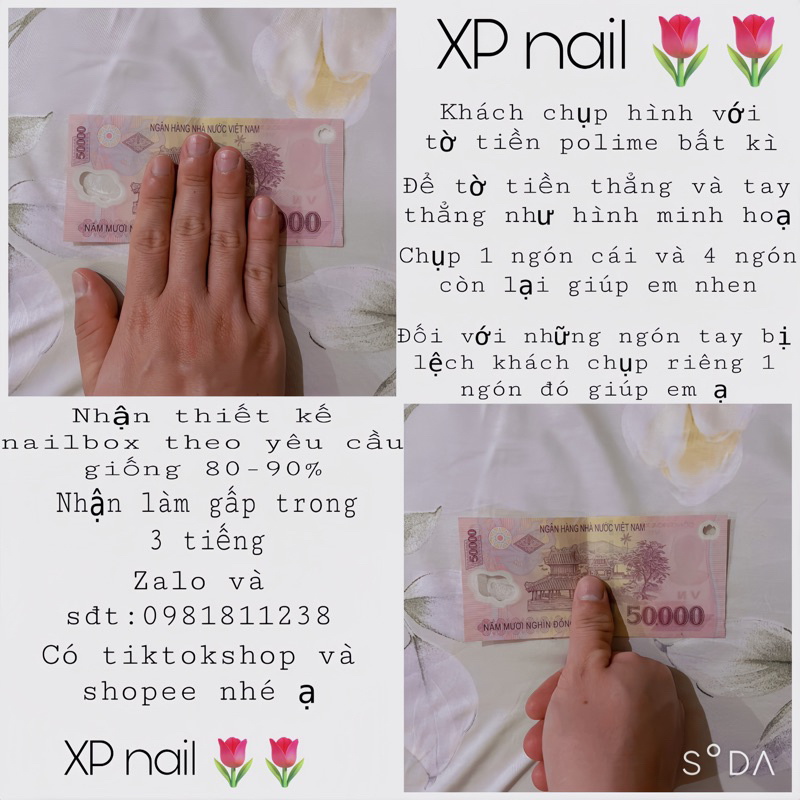 NAILBOX BIỂN VÕ SÒ LẤP LÁNH GIÁ RẺ NHƯ CHO