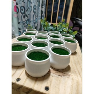 Chậu nhựa mini cắm hoa handmade