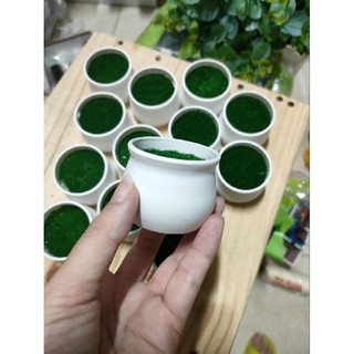 Chậu nhựa mini cắm hoa handmade