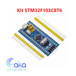 Kit phát triển STM32F103C8T6 Blue Pill ARM Cortex-M3 ARM (có bán thêm mạch nạp ST-Link V2)