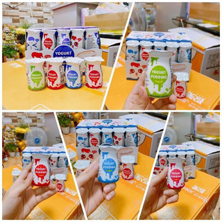 [ Hot - sale ] Combo 15 hộp thạch sữa chua pudding ăn vặt ngon giải nhiệt mùa hè