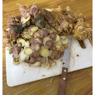 100g sâm ngọc linh ngâm mật ong