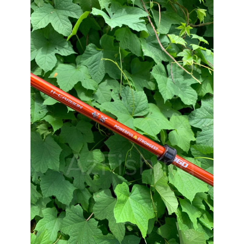 Cần Câu Hoả Ngư Vương