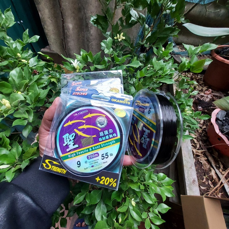 Cước Con cá giá rẻ