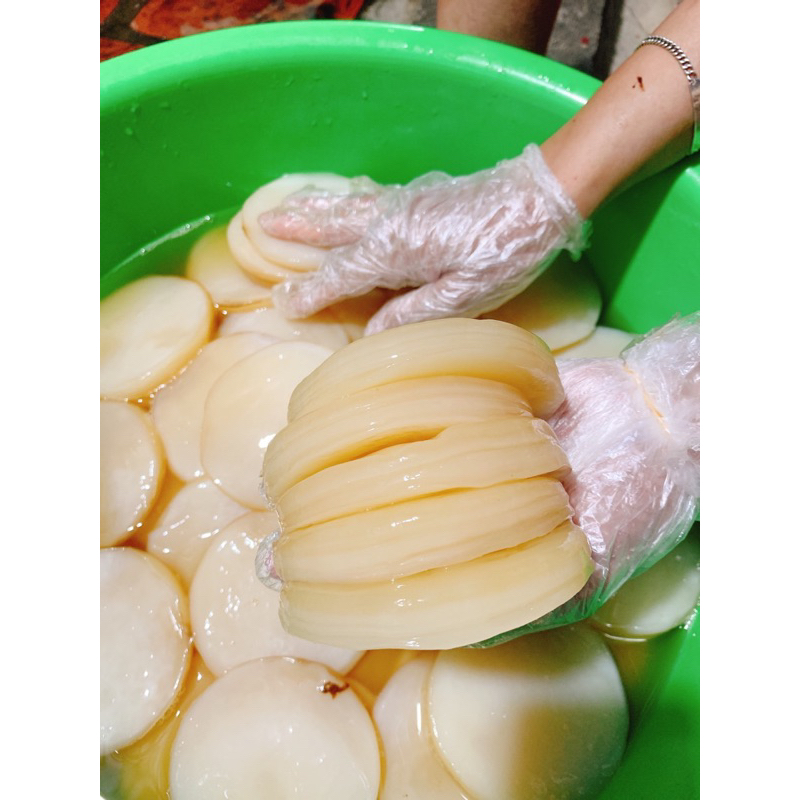 Siêu rẻ scoby + nước mồi