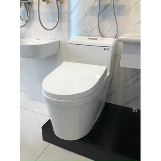 Bồn cầu liền khối 6618