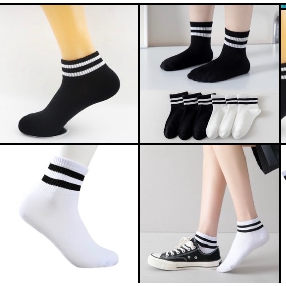 Combo 5 đôi,10 đôi tất gấu và tất một màu họa tiết xinh xắn tặng kèm túi đựng - VO02