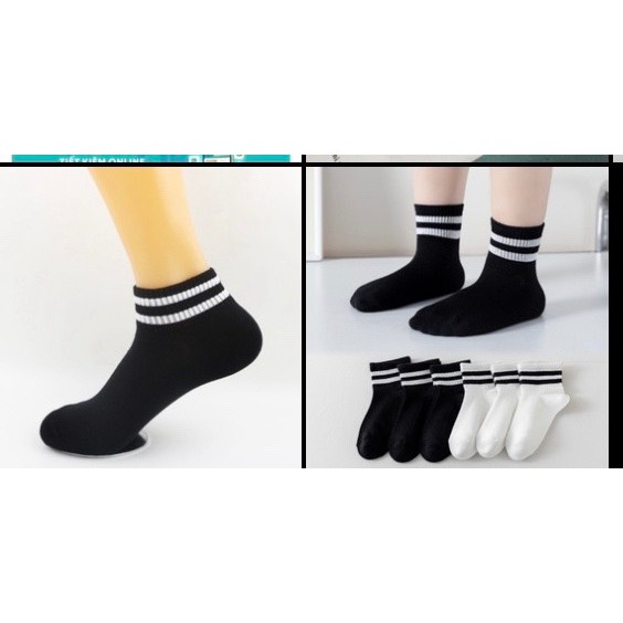 Combo 5 đôi,10 đôi tất gấu và tất một màu họa tiết xinh xắn tặng kèm túi đựng - VO02