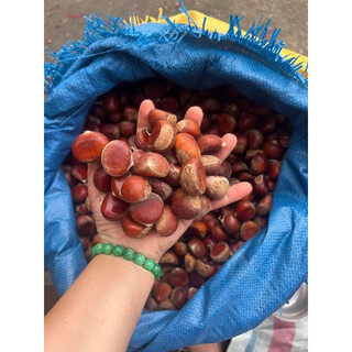 hạt dẻ rang bơ