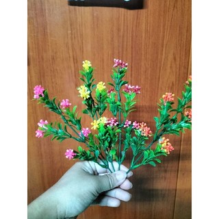 cành giả gắn cầu tử