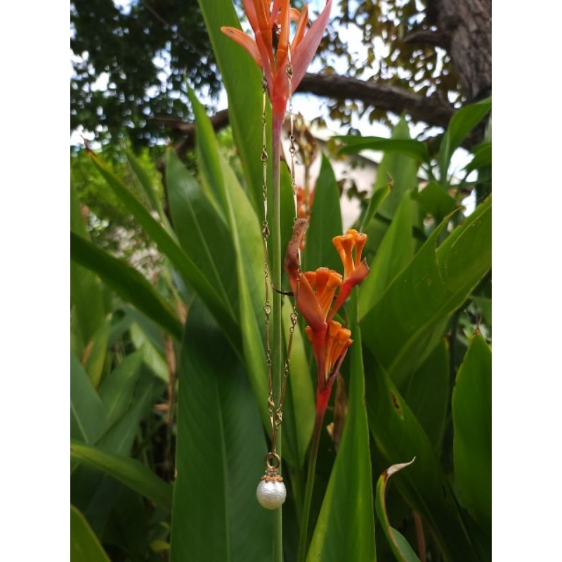 Dây chuyền si Nhật