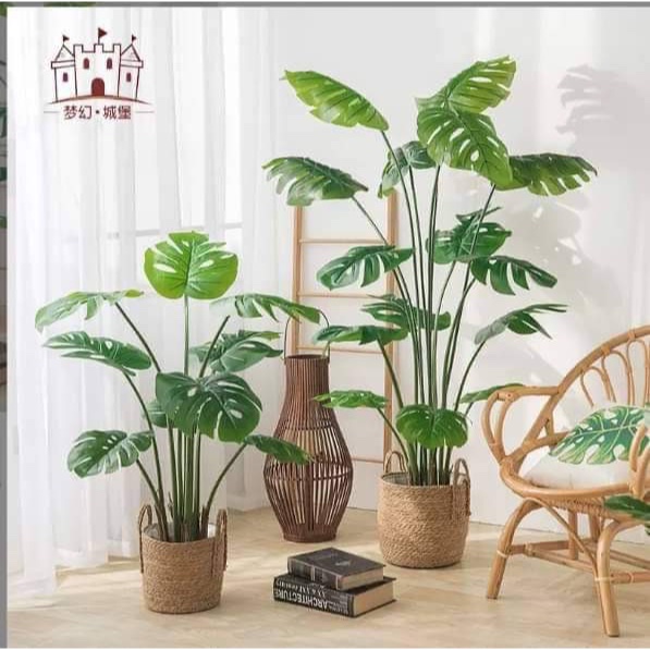 Cây  giả decor (Cây chuối 1m2 (9 lá, chậu, giỏ), Cây trầu bà 1m2 (9 lá, chậu giỏ)