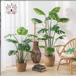Cây giả decor , Cây trầu bà 1m2