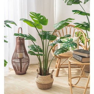 Cây  giả decor (Cây chuối 1m2 (9 lá, chậu, giỏ), Cây trầu bà 1m2 (9 lá, chậu giỏ)