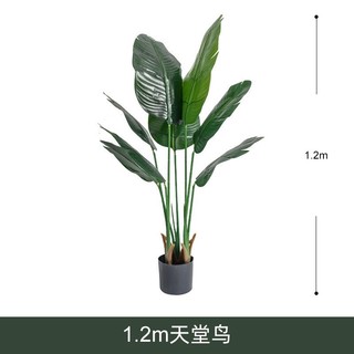 Cây  giả decor (Cây chuối 1m2 (9 lá, chậu, giỏ), Cây trầu bà 1m2 (9 lá, chậu giỏ)