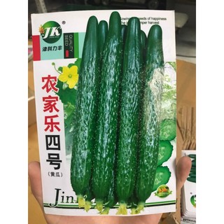Hạt giống Dưa chuột Kiếm _ Dưa chuột Nhật quả dài, đặc ruột, giòn ngọt hàng nhập F1 siêu quả