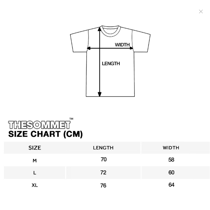 Áo Phông Cộc Tay Áo Thun Đen Unisex Halfbear The Sommet - T19