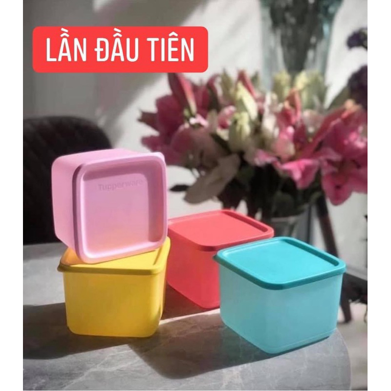 THANH LÝ HỘP Medium Square Round 1L - TUPPERWARE
