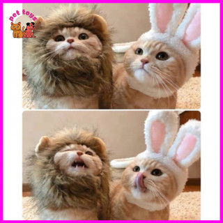 Mũ hóa trang các loài động vật khác cho chó mèo - Pet Toys