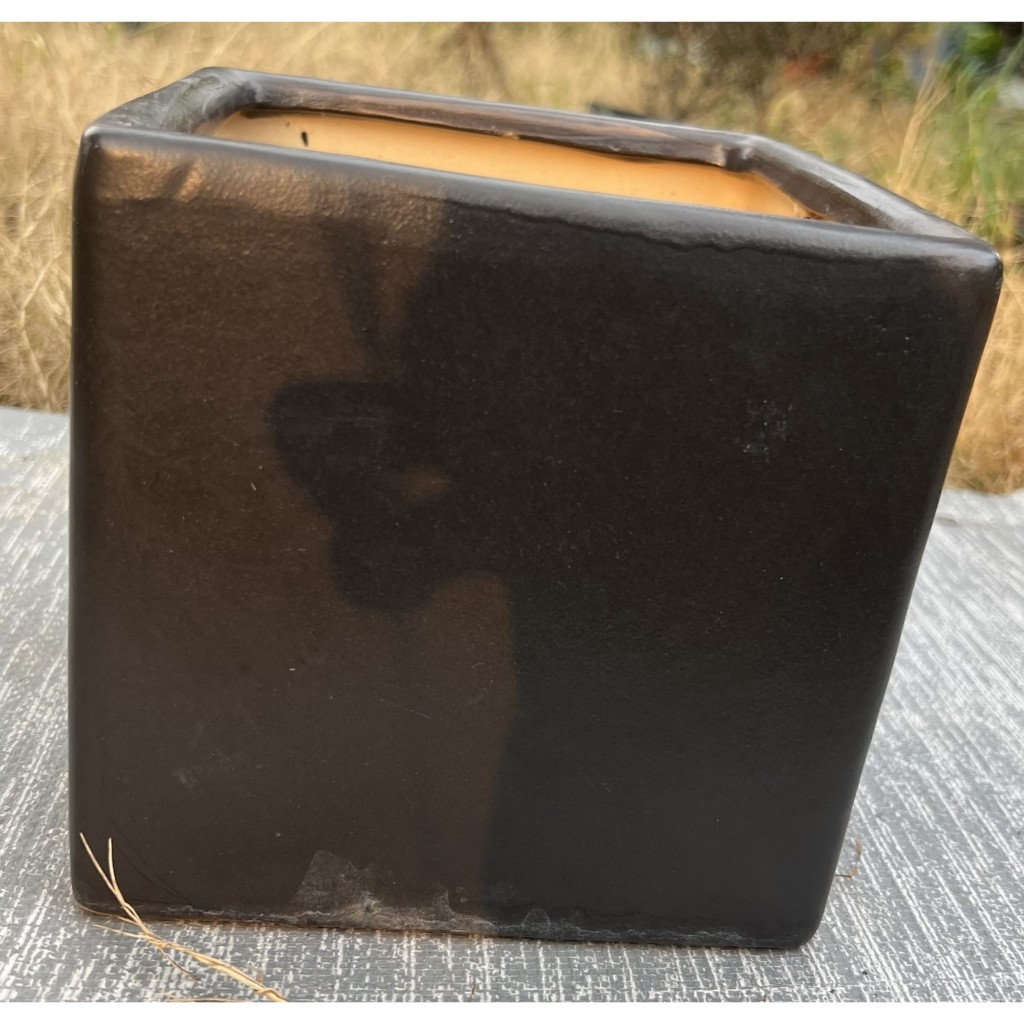 Chậu sứ vuông 2 size màu đen men nhám – 16x16 và 11.5x11.5cm -  Chậu hoa, cây kiểng - Hỗ trợ thay chậu khi mua cây