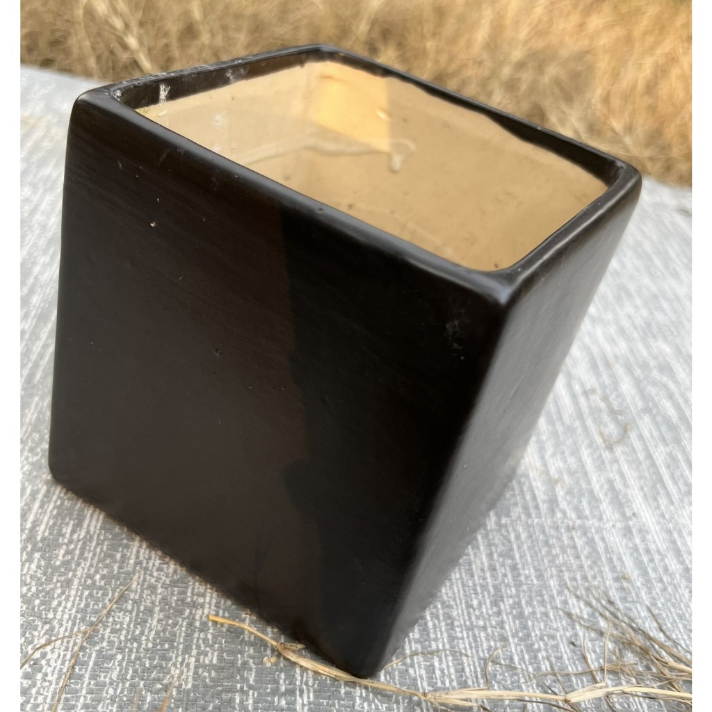 Chậu sứ vuông 2 size màu đen men nhám – 16x16 và 11.5x11.5cm -  Chậu hoa, cây kiểng - Hỗ trợ thay chậu khi mua cây