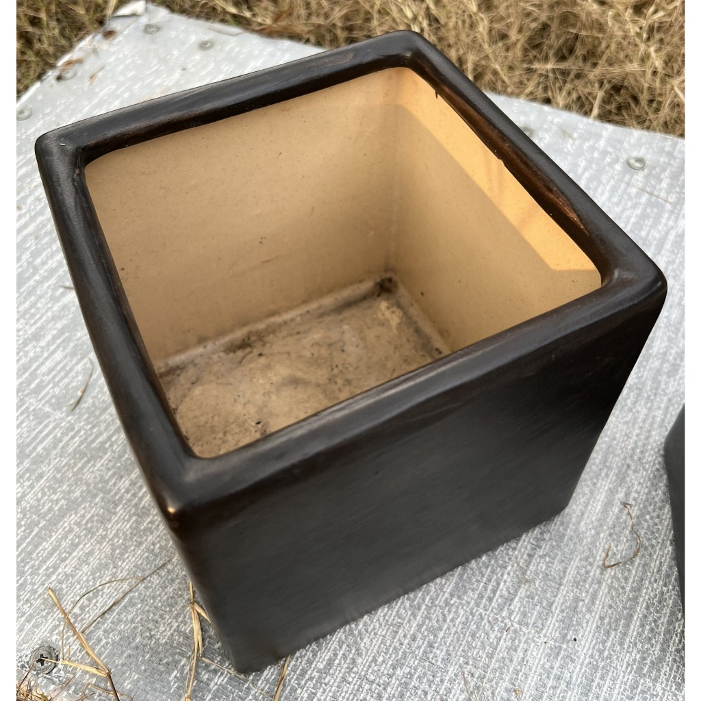 Chậu sứ vuông 2 size màu đen men nhám – 16x16 và 11.5x11.5cm -  Chậu hoa, cây kiểng - Hỗ trợ thay chậu khi mua cây