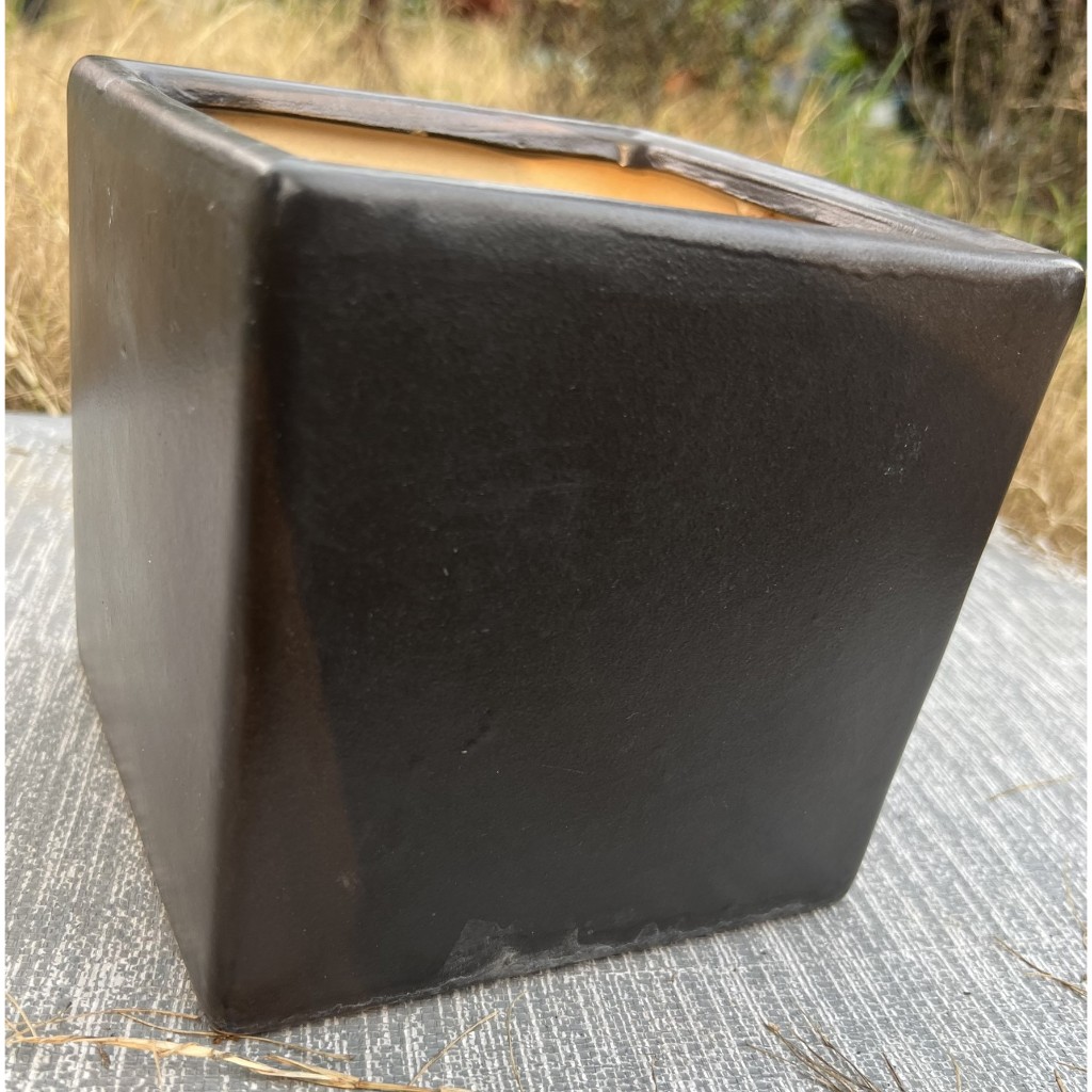 Chậu sứ vuông 2 size màu đen men nhám – 16x16 và 11.5x11.5cm -  Chậu hoa, cây kiểng - Hỗ trợ thay chậu khi mua cây